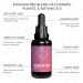 Digestion Drops - Herbal Supplement for Liver Cleanse - 100% Natural Blend with Ginger, Artichoke, Burdock Root, and Spearmint - 30ml by Blooming Blends - Buy Online on GoSupps.com