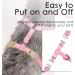 Thinkpet No-Pull Dog Harness Leash Set - Breathable Adjustable Safety Harness for Small Medium & Large Dogs - Pink (1 Pack) - Buy Online on GoSupps.com
