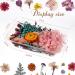 Pressed Dried Flowers Kit with Tweezers - Colorful Real Dried Flowers for Resin Jewelry DIY - Buy Online on GoSupps.com