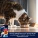 Felix Soup Cat Food Bundle Containing Farm and Fish Selection 48g x24 | Cat Treats 60g x2 | Silvervine Sticks - Buy Online on GoSupps.com