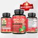 Broccoli Sprouts Extract Capsule with Turmeric, Oregano, Green Tea & Black Pepper Extract - 8450mg - 5 Herb Blend - 60 Vegan Capsules - Buy Online on GoSupps.com
