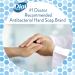 Dial Antibacterial Foaming Hand Wash Power Berries 7.5 oz - Pack of 8 - Buy Online on GoSupps.com