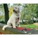 Buy Leite Green Adjustable Dog Leash 3m - Durable Nylon for Medium to Large Dogs 200kg Capacity 2 Carabiners - Red Tango | International Shipping Available - Buy Online on GoSupps.com