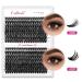 Fadlash Individual Eyelashes - 280PCs 50D+60D Mix D Curl | Naturally Looking DIY Eyelash Extensions 8-16mm & 10-18mm - Buy Online on GoSupps.com