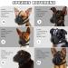 Shop Bonthee Adjustable Dog Muzzle | Soft Breathable & Reflective for Small & Medium Dogs | Perfect for Grooming & Scavenging - Buy Online on GoSupps.com