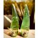 Aloe Vera Gel for Intense Hydration - Deep Penetrating Moisture Nutrient-Rich Soft & Radiant Skin (8.45 fl oz Pack of 2) - International Shipping Available - Buy Online on GoSupps.com