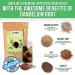 Nummy Creations Herbal Coffee Alternative Sample Pack - Caffeine-Free, All Natural, Full-Bodied Taste, 5 Flavors: Original, Caramel, Vanilla, Pumpkin Spice, Chocolate-Mint - Makes 3-5 Cups - Buy Online on GoSupps.com