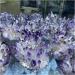 Minerals s Natural Rough Gems Amethyst Quartz Cluster Magic Wand Point Sample raw Home Decoration s Decoration (Size : 400-500g) - Buy Online on GoSupps.com