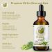 Bella Terra Oils - Organic Neem Seed Oil 8oz - Embrace Organic Neem's Richness Packed with Azadirachtin & Nimbolide Elevate Your Skin's Natural Glow 8 Fl Oz (Pack of 1) - Buy Online on GoSupps.com