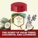 Old Spice Aluminum Free Deodorant for Men Fiji - 3.0 oz (Pack of 3) - Palm Tree Scent - Fiji 3 Count - Buy Online on GoSupps.com