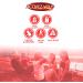 Taurine Caffeine and Eleutherococci | Energy and Power Boosting | Powerful Energy Stimulating | Instant Energy Booster | Stimulates Muscle Performance | 60 Capsules - Buy Online on GoSupps.com