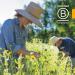 Herb Pharm California Poppy Extract 1 fl oz | Natural Relaxation & Sleep Support - Buy Online on GoSupps.com