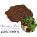 Caribbean Inspired Allspice Seasoning Blend Organic Non-GMO Gluten-Free Vegan - Buy Online on GoSupps.com