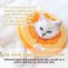 HONGMILL Soft Cat Cone Collar for Kittens - Stop Licking, Elizabethan Style in Orange, Medium Size 7-18 lbs - Buy Online on GoSupps.com