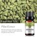Buy 100% Pure Organic Cardamom Essential Oil - Natural Plant Oil for Diffuser Massage & Skin Care - 10ML - International Shipping Available - Buy Online on GoSupps.com
