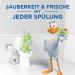Toilet Duck Fresh Seal 2 Pack - Gel Toilet Cleaner Stones Lime Fragrance 72ml | Effective Basketless Toilet Cleaner for Freshness - Buy Online on GoSupps.com