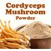 Food to Live Cordyceps Mushroom Powder 1 Pound Pure Premium Ultra-Fine Cordyceps Militaris Kosher Vegan Bulk 16 Ounce (Pack of 1) - Buy Online on GoSupps.com