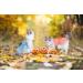 Small Dog Polka Dot Dress with Bow Skirt - Blue & Orange (S Size) - Buy Online on GoSupps.com