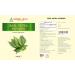Herbal Hills Baelpatra Powder 500gms - Bael Leaf Powder for Digestive Health | Aegle Marmelos Supplement - Buy Online on GoSupps.com