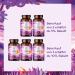 Blood Nutrients - Iron Vitamin B6 B12 Folate & Antioxidants for Healthy Blood | 90 Capsules - Buy Online on GoSupps.com