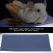 Reptile Heating Mat Vivarium Heat Pads Aquarium Heating Mat Vivarium Pet Tank Warmer Mat Pad for Reptiles Lizards Turtles Snakes(S) - Buy Online on GoSupps.com