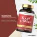 Plant Sterols High Strength Capsules | 1200mg | 120 Count | with Beta-Sitosterol | Vegan and Vegetarian | by Horbaach - Buy Online on GoSupps.com