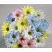 Design Master 132 Lemon Just for Flowers - Vibrant Floral Color Spray - Buy Online on GoSupps.com