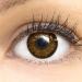 Glamlens Silicone Comfort Dark Brown Contact Lenses - Soft Choco Brown for All Eye Colors - 0.00 Dioptries - 2 Pack + Free Container - Buy Online on GoSupps.com