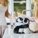 Warmies 9 Heated Plush Toy - Lavender-Scented Penguin | Cozy & Calming Warm Hugs for All Ages - Buy Online on GoSupps.com
