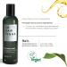 Lazartigue Nourish-Light Shampoo | Vegan | Nourishes Dry & Fine Hair | Soybean Oil | 8.4 fl oz | Natural Volume & Shine - Buy Online on GoSupps.com