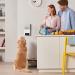Petcube Bites 2 Lite: Interactive WiFi Pet Camera with Treat Dispenser | 1080p HD Video, Night Vision, Two-Way Audio | Cat & Dog Monitor - Buy Online on GoSupps.com
