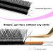 TDANCE YY D-0.05 8-15mm Volume 2D Fans Eyelash Extensions | Long Lasting Matte Black Lashes | Easy Application Premade Fans - 1 Count - Buy Online on GoSupps.com