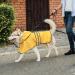 Adjustable Waterproof Dog Raincoat - Reflective Hooded Jacket for Large Dogs - Yellow - Buy Online on GoSupps.com