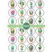 PRECUT Kawaii Cactus Edible Cupcake Toppers - Cute Kawaii Cactus Theme Premium Thickness SWEETENED VANILLA - wafer card disc cake decorations (Pack of 24) - Buy Online on GoSupps.com