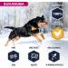 Eukanuba Dog Dry Food Rottweiler Chicken 12kg - Buy Online on GoSupps.com