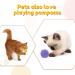 Caydo 200pcs 2 Inch Large Pom Poms with 100pcs Wiggle Eyes - Assorted Colors for DIY Crafts and Decorations - Buy Online on GoSupps.com