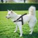 Excellent Elite Spanker Tactical Dog Vest - Adjustable Nylon Dog Crockery for Small Medium Large Dogs (Army Green) - Buy Online on GoSupps.com