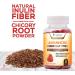 Daily Prebiotic Fiber Gummies for Adults - 60 Count - Digestive Health Support for Men and Women - Natural Dietary Supplement - Buy Online on GoSupps.com