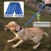 Vivaglory Short Dog Leash - 61 cm Traffic Leash for Medium & Large Dogs - Blue Training Line - Buy Online on GoSupps.com