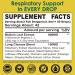 Mullein Drops 800 mg | Natural Lung Detox & Cleanse Tincture for Respiratory Health | Alcohol-Free No Sugar | 2 fl oz - Buy Online on GoSupps.com