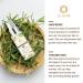 LILIVERA Rosemary Hair Growth Serum - Stimulates Growth, Nourishes Scalp, Improves Circulation - Hair Loss Treatment Oil - Buy Online on GoSupps.com