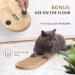 Ruby Road Wall Mounted Cat Scratching Post - Wooden Sisal Scratcher for Indoor Cats - Modern Cat Wall Furniture (22 x 5.7 inches) - Buy Online on GoSupps.com