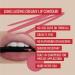 Jet Set Blush-Pink Silk Liquid Lipstick & Matte Rose-Pink Lip Liner Bundle - Buy Online on GoSupps.com