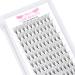 Premade Fans Eyelash Extensions 12D-D-0.07-11 Premade Volume Lash Extensions Pointed Base Fans 0.07 Premade Volume Fans C D Curl(12D-D-0.07 11mm)