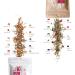 WoW Tea - 2 Diet Teas | Detox & Slimfit Green Tea | 100% Organic - Weight Loss & Detox | 300g Made in EU - Buy Online on GoSupps.com
