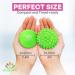 Acupoint Physical Therapy Massage Balls | Yoga Deep Tissue & Trigger Point Therapy - Spiky Ball for Myofascial Release - Buy Online on GoSupps.com