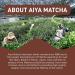 Aiya Sweetened Black Tea Blend (Formly Black Tea Zen Caf Blend) Pre-mix 1 Kg - Buy Online on GoSupps.com