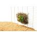 Hay Manger Hopper 20x12x19cm - Buy Online on GoSupps.com