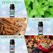 SALKING Winter Essential Oils Set for Aromatherapy & Candle Making - Cinnamon, Sugar Cookie, Cranberry, Peppermint, Gingerbread Scents - Buy Online on GoSupps.com