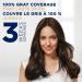 Clairol Root Touch-Up Permanent Hair Dye 2 Black Hair Color 1 Count - Buy Online on GoSupps.com